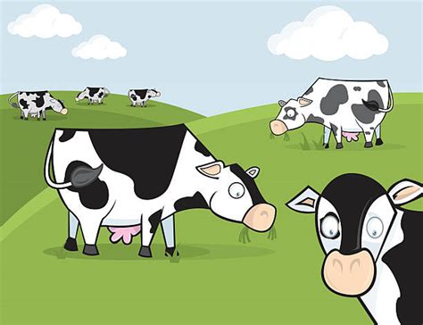 Cattle Herd Illustrations Royalty Free Vector Graphics And Clip Art Istock