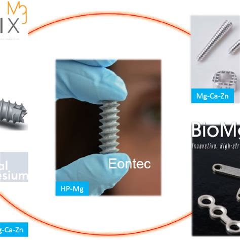 Examples Of Some Commercial Absorbable Metal Implants Made Of Mg And