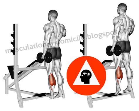Exercices Musculation Mollets
