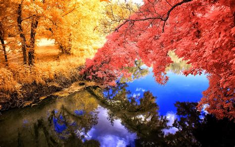 Wallpaper Trees Landscape Colorful Fall Lake Water Nature