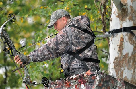 Deer Archery Season Begins Oct 1