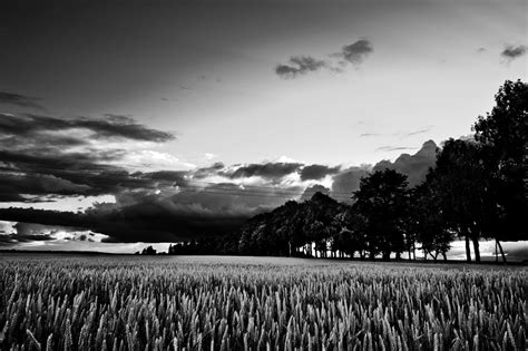 Black and white field | Turner Family Funeral Home