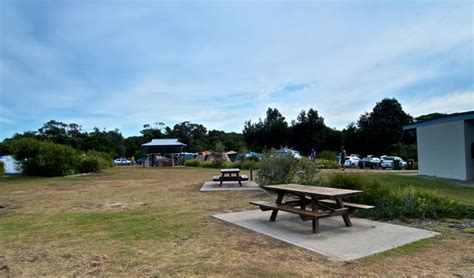 Freemans Campground Nsw National Parks