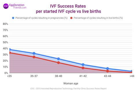 Ivf Success Rates Figures And Myths Revealed Eggdonationfriends Com