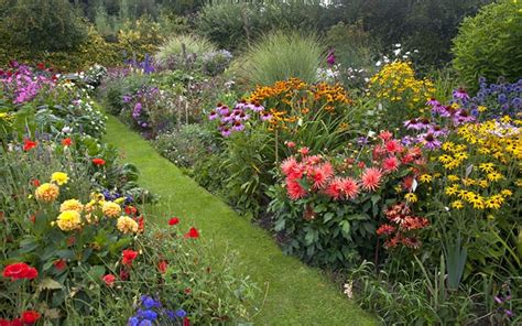 Top 10 Plants For A Modern Cottage Garden David Domoney