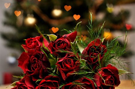 Check spelling or type a new query. Red Rose Bokeh Wallpapers - Wallpaper Cave