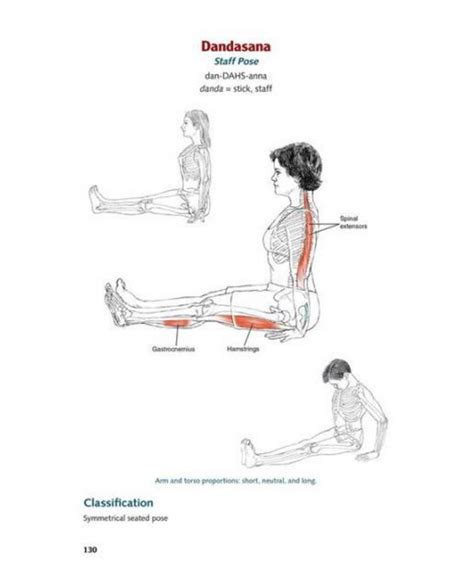Barnes And Noble Yoga Anatomy By Leslie Kaminoff Macy S