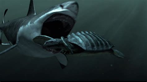 How The 60-Foot-Long Ancient Shark, Megalodon, Ripped Apart Giant