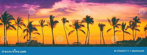 Sunset Beach Palm Trees Silhouette In Sun Glow Flare Panoramic Hawaii