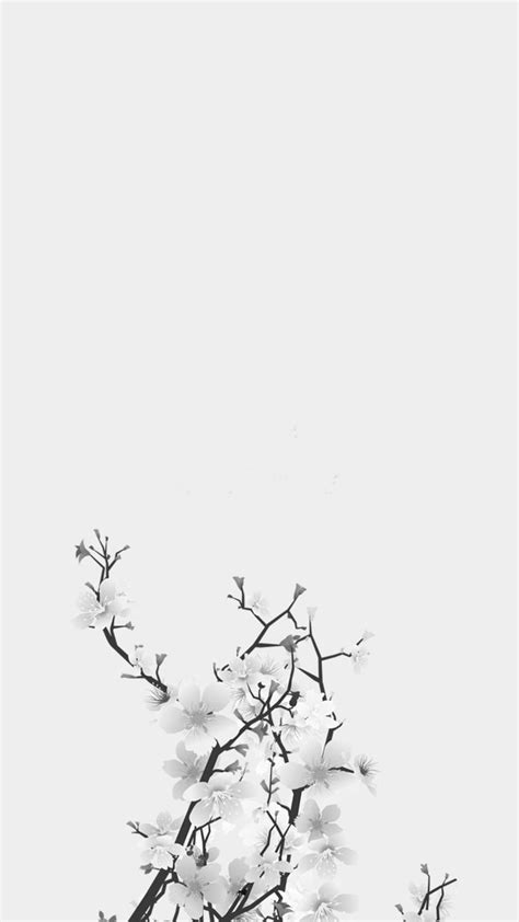 White background tumblr ·① download free cool hd backgrounds for desktop, mobile, laptop in any resolution: Black and White Aesthetic Flower Wallpapers - Top Free Black and White Aesthetic Flower ...