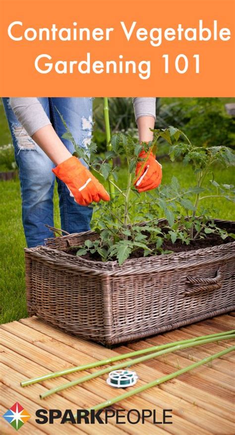 A Beginners Guide To Container Vegetable Gardening Food
