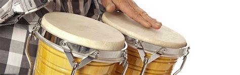 How To Play The Bongo Drums Beginners Guide Upd 2024