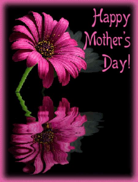The images and gifs published on this site for download are protected by digital millennium copyright. Mother Day Reflective Flower Quote Gif Pictures, Photos ...