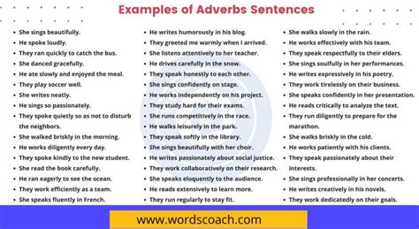 Adverb Placement In English Promova Grammar OFF