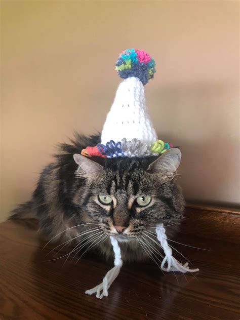 Birthday Hat Happy Birthday Hats For Cats Cat Costumes Pet Etsy