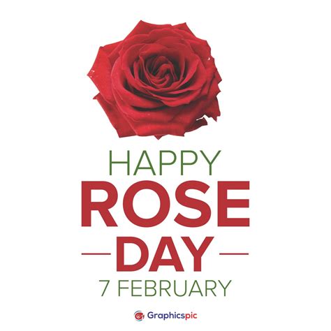 Happy Rose Day 7th February Stock Photos Graphics Vectors