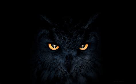2880x1800 Owl Dark Glowing Eyes Macbook Pro Retina ,HD 4k Wallpapers