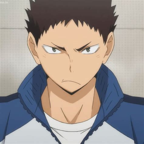 Haikyuu Iwaizumi Iwaoi Haikyuu Anime Roy Mustang Fandom Volleyball