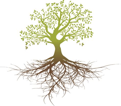 Tree Roots Logo Png