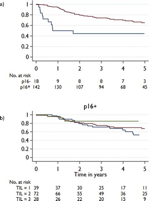 Overall Survival In 162 T34 Or Nþ Ascc Patients Treated With Chemort