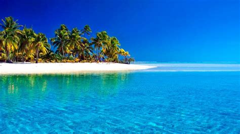 Tropical Beach Theme For Windows 10