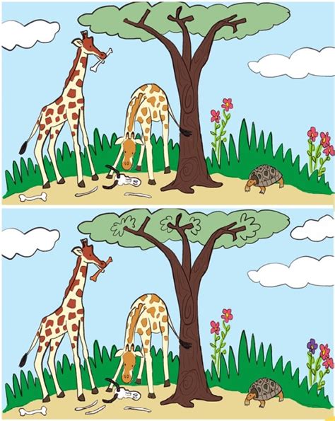 Very Easy Spot The Difference Picture Giraffe