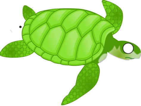 Turtle Clip Art Svg