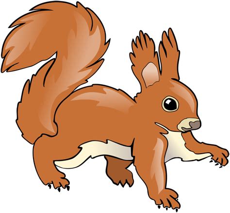 Squirrel Climbing Tree Clipart 10 Free Cliparts Download Images On