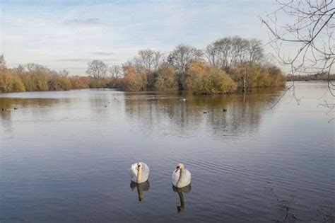 Plan For Visitors To Walk On Water At Attenborough Nature Reserve