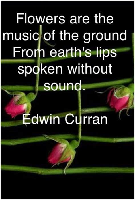 Apparently, the right sounds can produce tremendous improvements in growth, and the. "Flowers are the music of the ground from earth's lilps ...