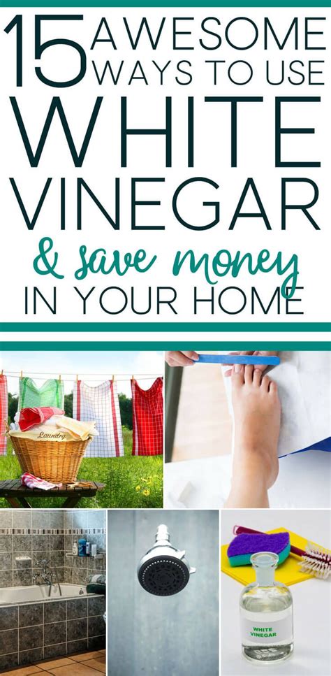 28 Brilliant Ways To Use White Vinegar In The Home Vinegar Uses