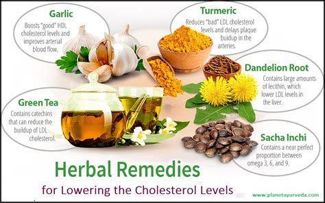 7 herbal remedies for lowering cholesterol levels articlecube