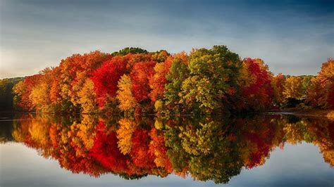Color Tour 2020 Heres When Fall Foliage Will Reach Its Peak In Your State Lifesavvy