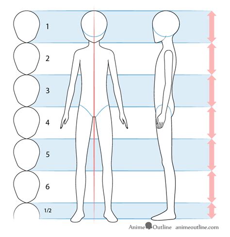 How To Draw Anime Body Base How To Draw Both The Male And Female Bodies