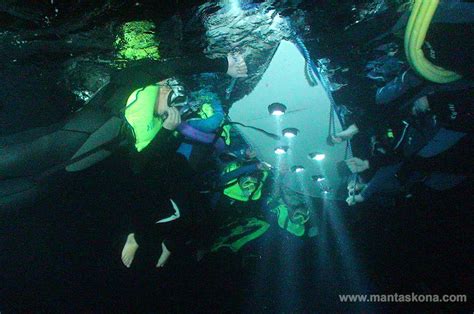 Manta Ray Night Snorkeling In Kona Adventure Tours Hawaii