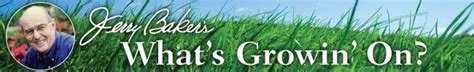 The price of pest control will depend on various factors, not least the species of pests you need removed, whether it be cost for bed bug removal, cockroach extermination or mice and rat eradication, as well as the severity of the infestation. 18 best Jerry Baker's garden tips.... images on Pinterest ...
