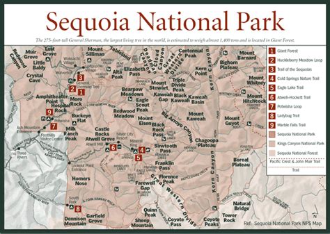 Sherpa Guides California Sierra Nevada Sequoia National Park Map