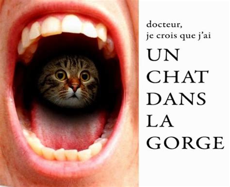 Les glaires vont alors avoir tendance à obstruer la gorge. Comment ça se dit en français?: avoir un chat dans la gorge