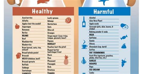 Webmd's slideshow shows you which foods your dog should never eat, including fat trimmings and chocolate. "Healthy vs Harmful Food for your Dogs" infographic by ...