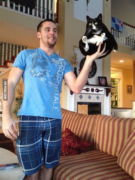 How To Properly Hold A Cat 9gag