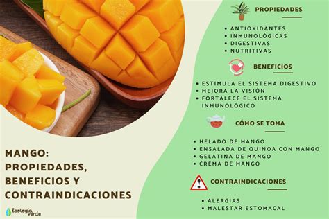 Mango Propiedades Beneficios Y Contraindicaciones Gu A Completa