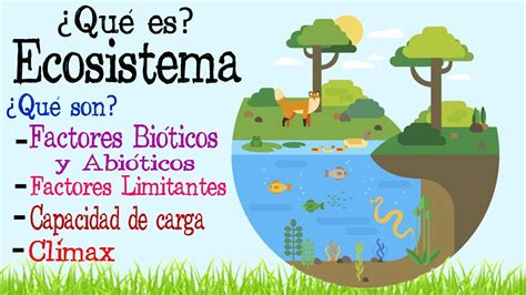Ecosistema Factores Bi Ticos Y Abi Ticos F Cil Y R Pido