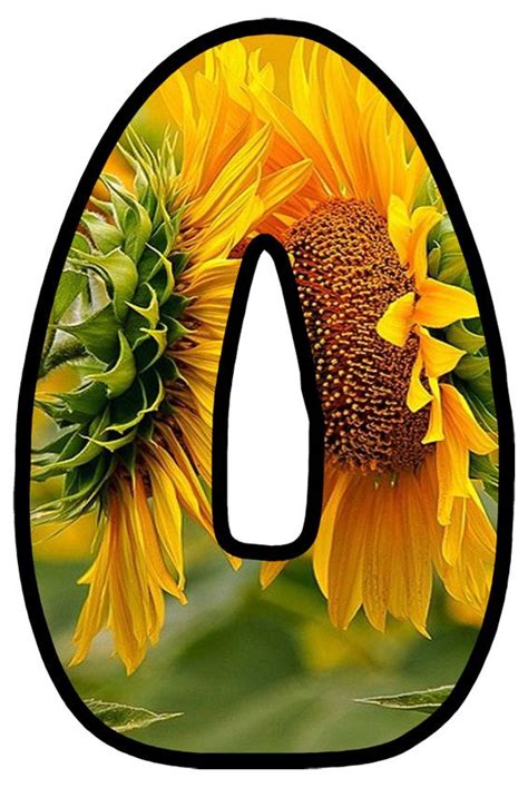 Buchstabe Letter O Sunflower Tree Sunflower Party Monogram Alphabet
