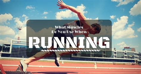 What Muscles Do You Use When Running Goaheadrunner