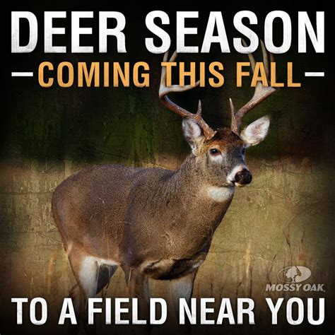 Quotes About Deer Season Quotesgram