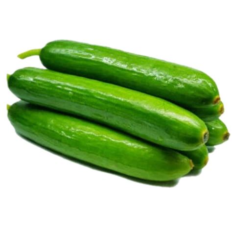 Buy Fresh Cucumber Small Online In Abu Dhabi Uae