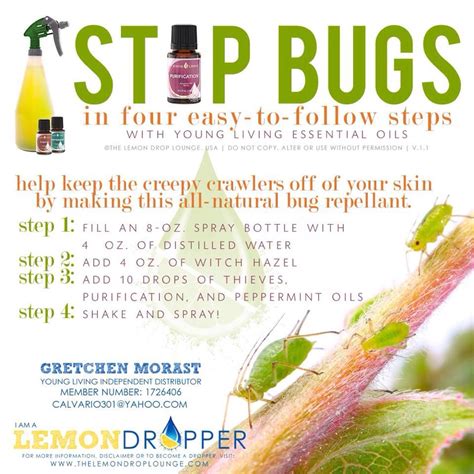 There are a number of different ways to keep those pesky insects from biting your skin while you're. ESSENTIAL OILS: Bug repellent | IT DOES A BODY GOOD ...