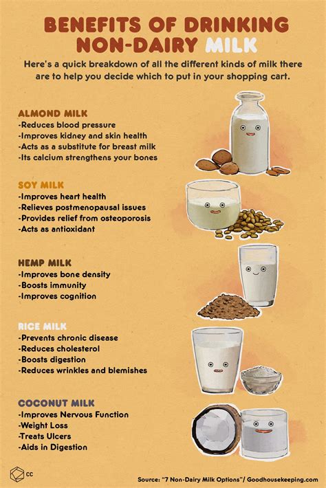 Oat Milk Infographic