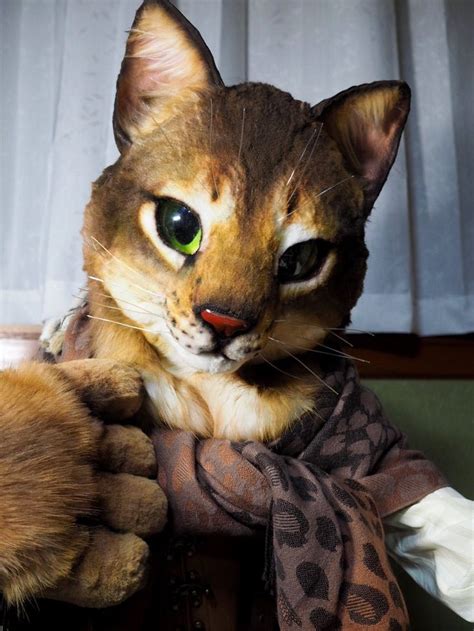 サツキ Satsuki On Twitter Cat Fursuit Anthro Furry Fursuit Furry
