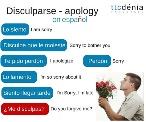 Vocabulario Y Expresiones En Español Pedir Disculpas Spanish
